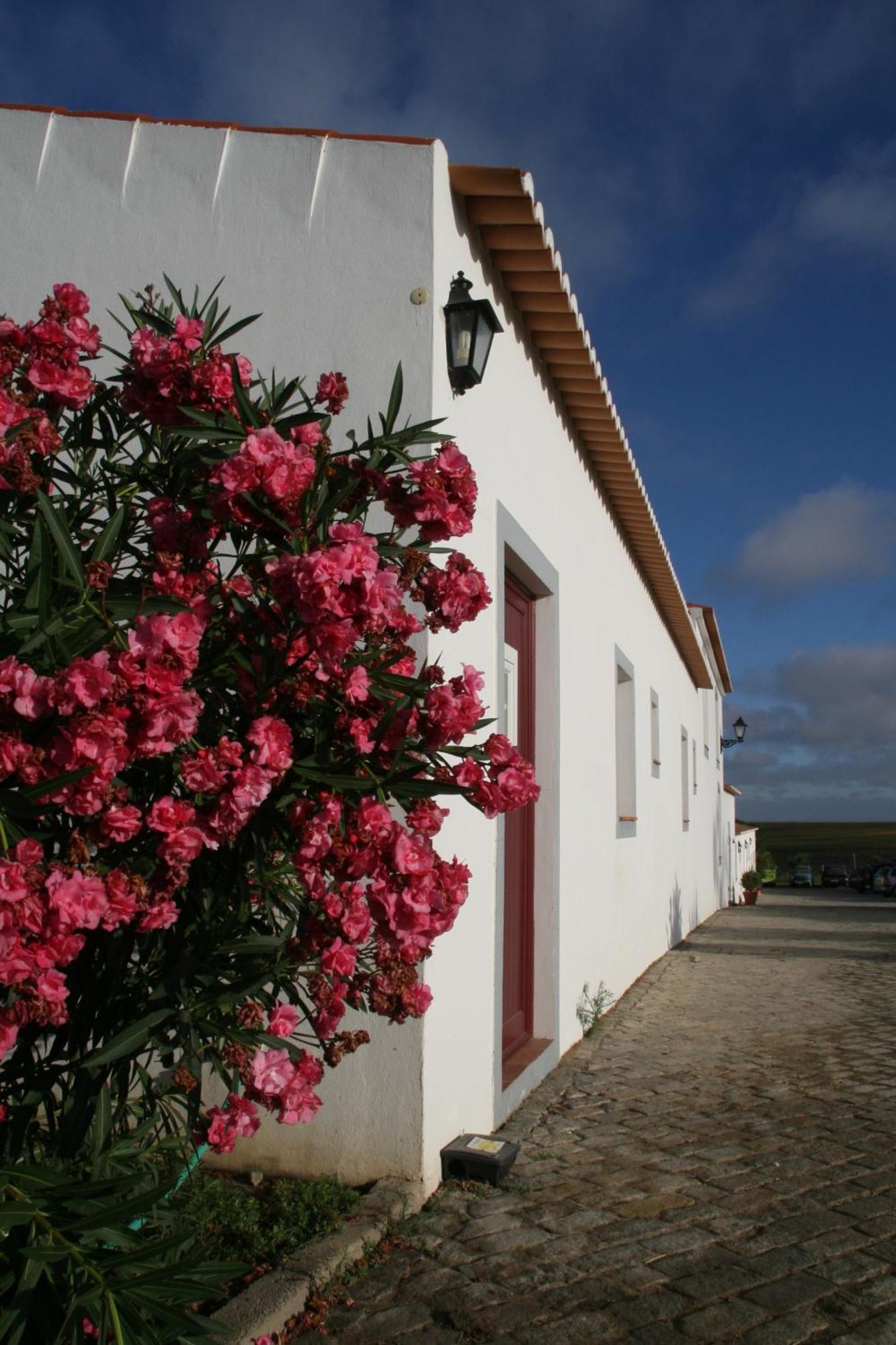 Monte Da Morena Agro-Turismo 세르파 외부 사진